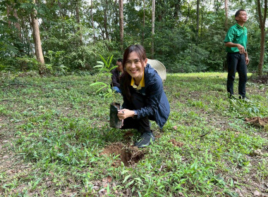 กิจกรรมวันต้นไม้ประจำปีของชาติ พ.ศ. 2568 พารามิเตอร์รูปภาพ 12